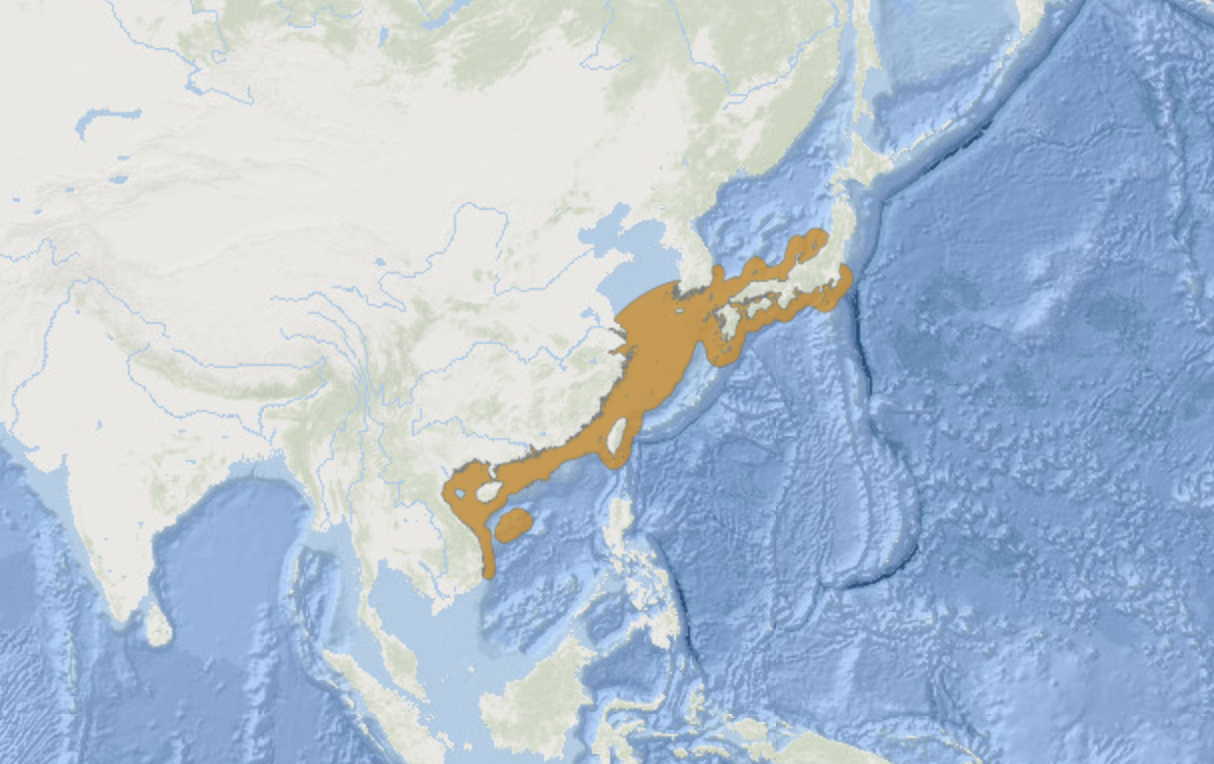 青石斑鱼分布图