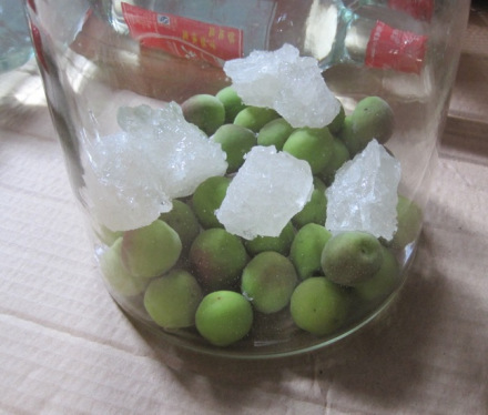 竹香缘秘制青梅酒