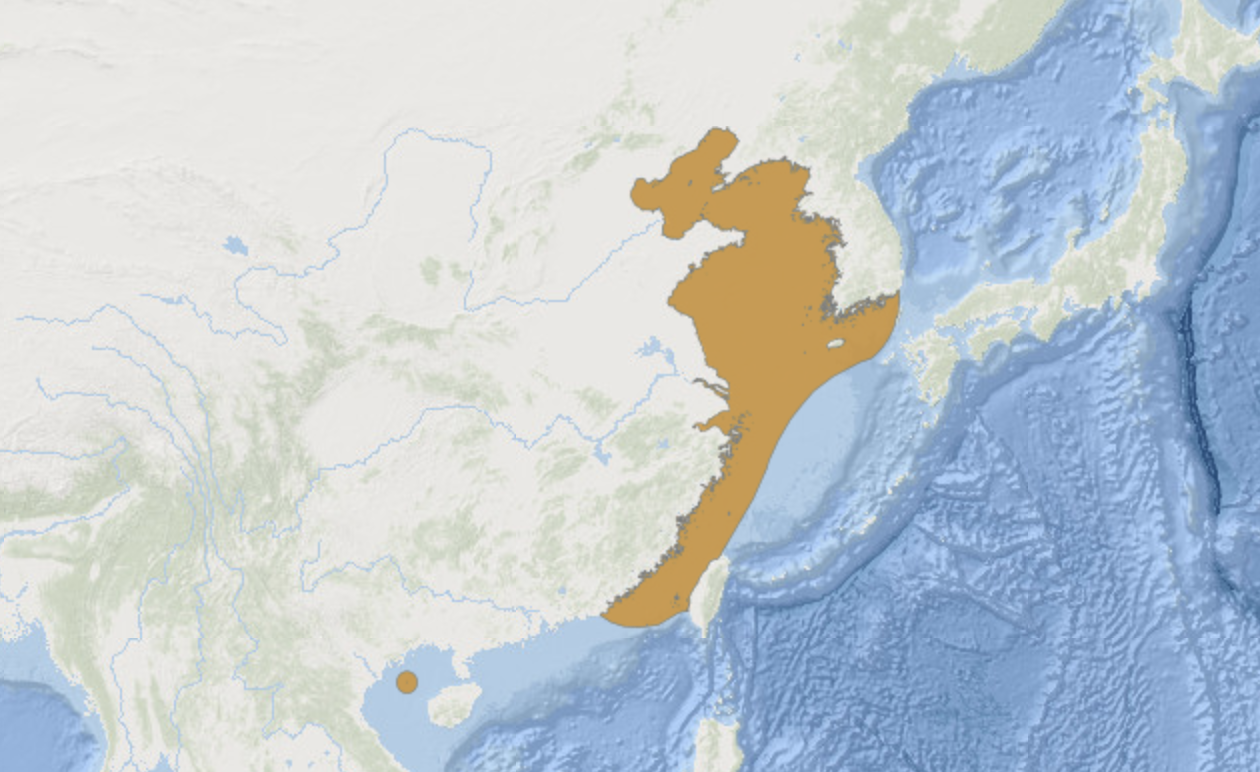 鮸分布图