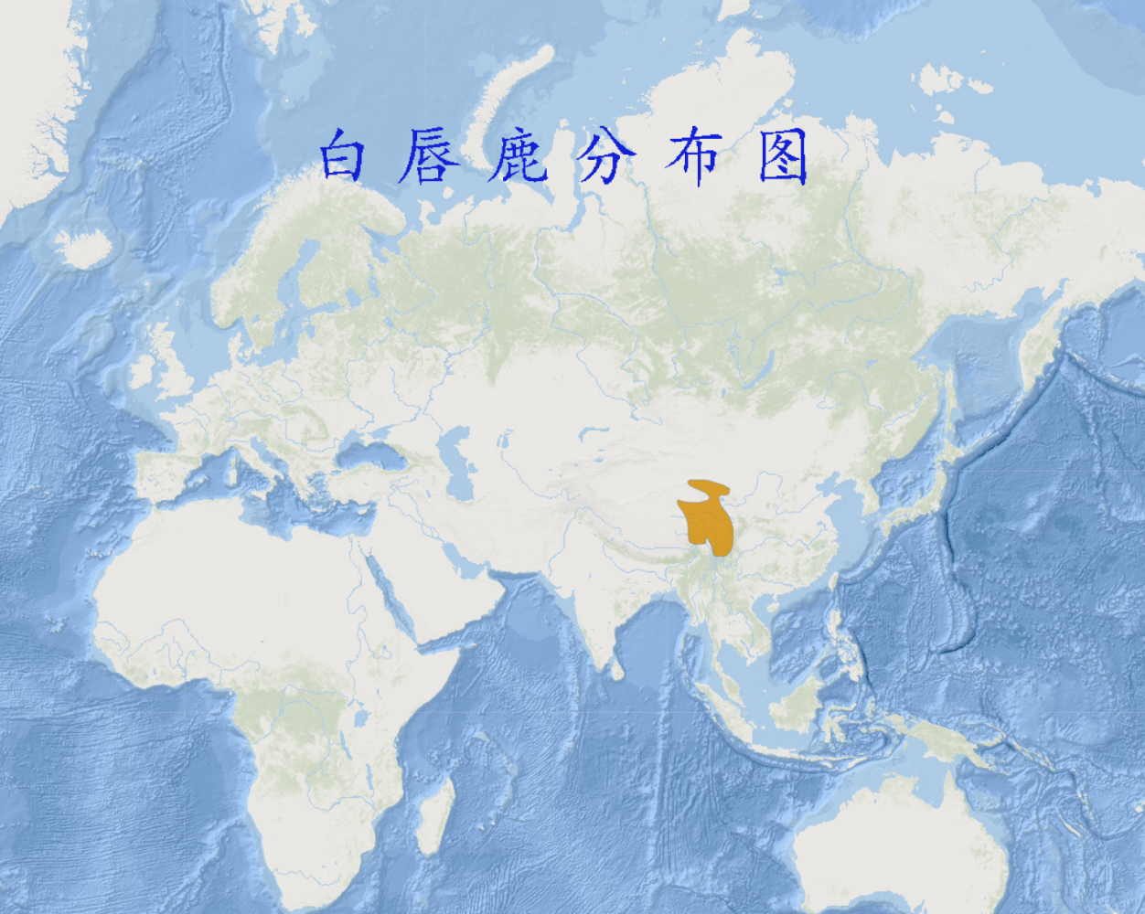 白唇鹿分布图