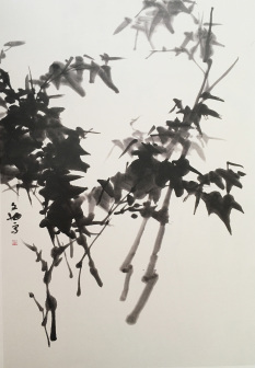 墨竹 80x68cm 1991年作