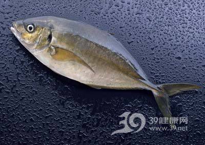 毛鳞鱼