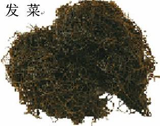 山丹发菜