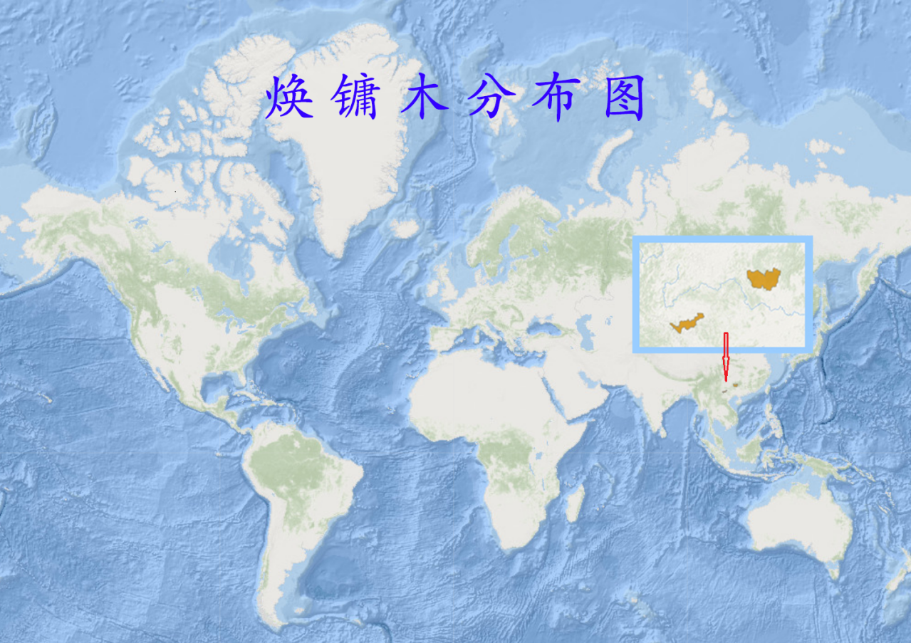 焕镛木分布图 