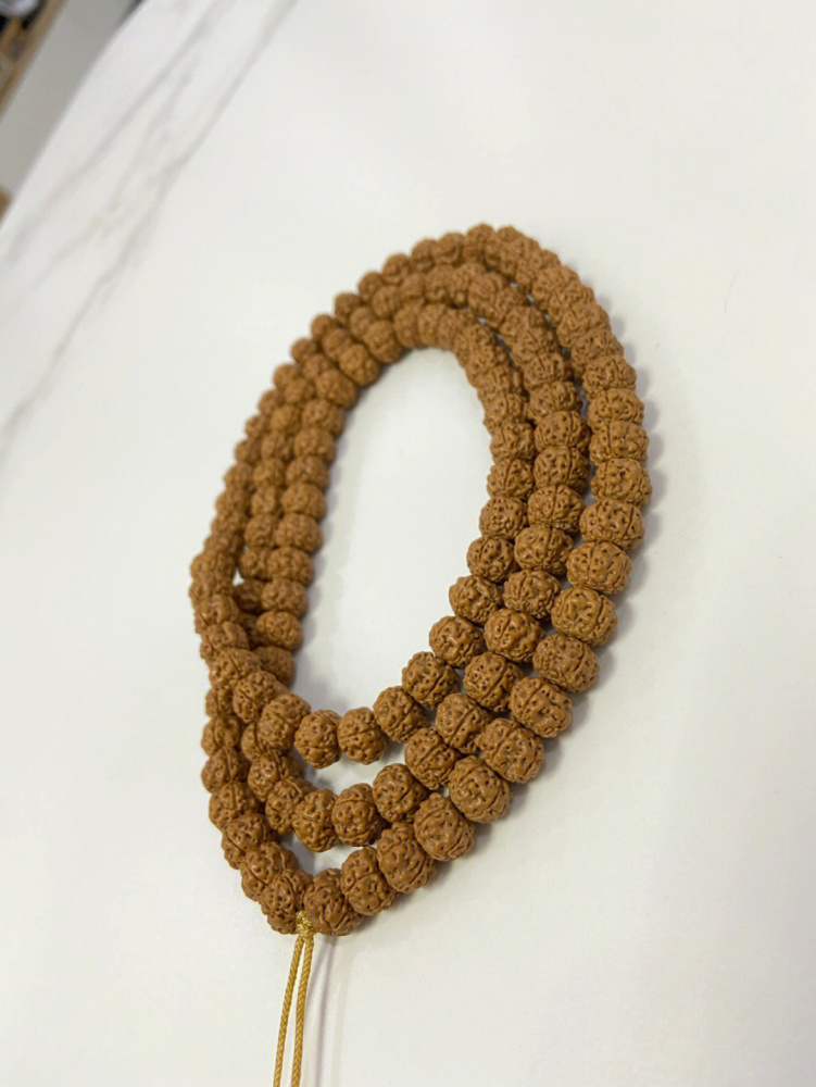 金刚菩提子