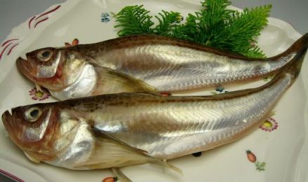 味道鲜美，适合多种烹饪方法