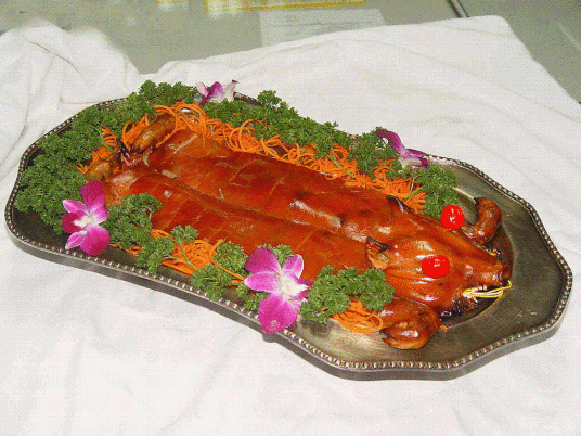 风猪