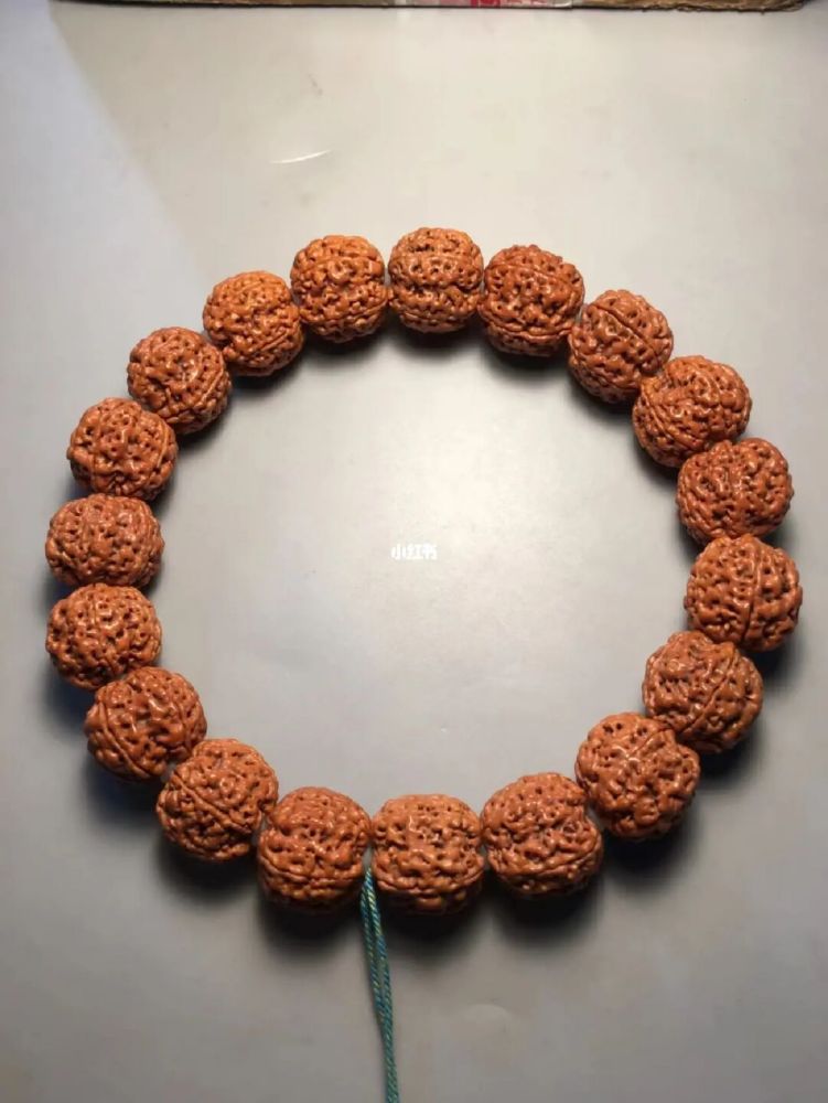 金刚菩提子