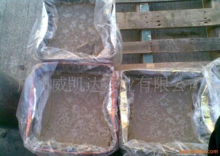 麒麟菜收获