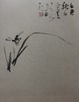兰花 43x33cm 1992年作