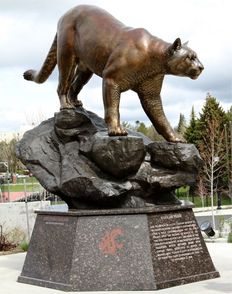 Cougar Pride（美洲狮骄傲）