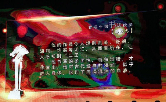 彭双龙-首届中国书法院奖颁奖词