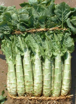 水煮牛肉制作方法照片