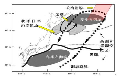 洄游分布