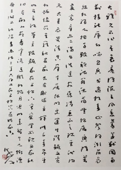 草书·李白诗二首  50x35cm 2017年书