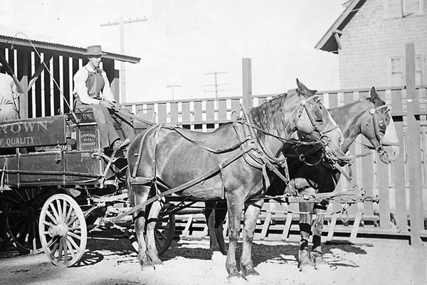 1915年，运送石油的马车