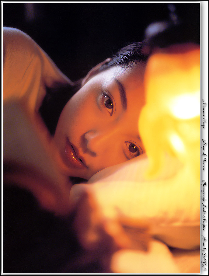本上真奈美的图片