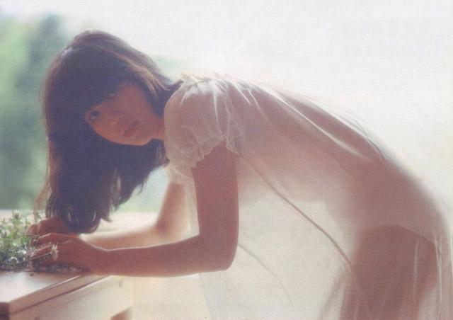 石野真子的图片