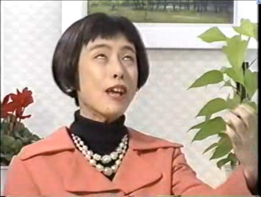 久本雅美的图片