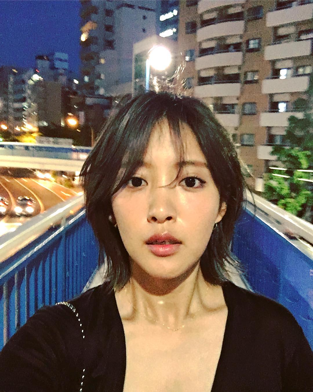 夏菜的图片