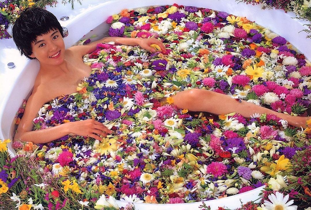 藤谷美纪的图片