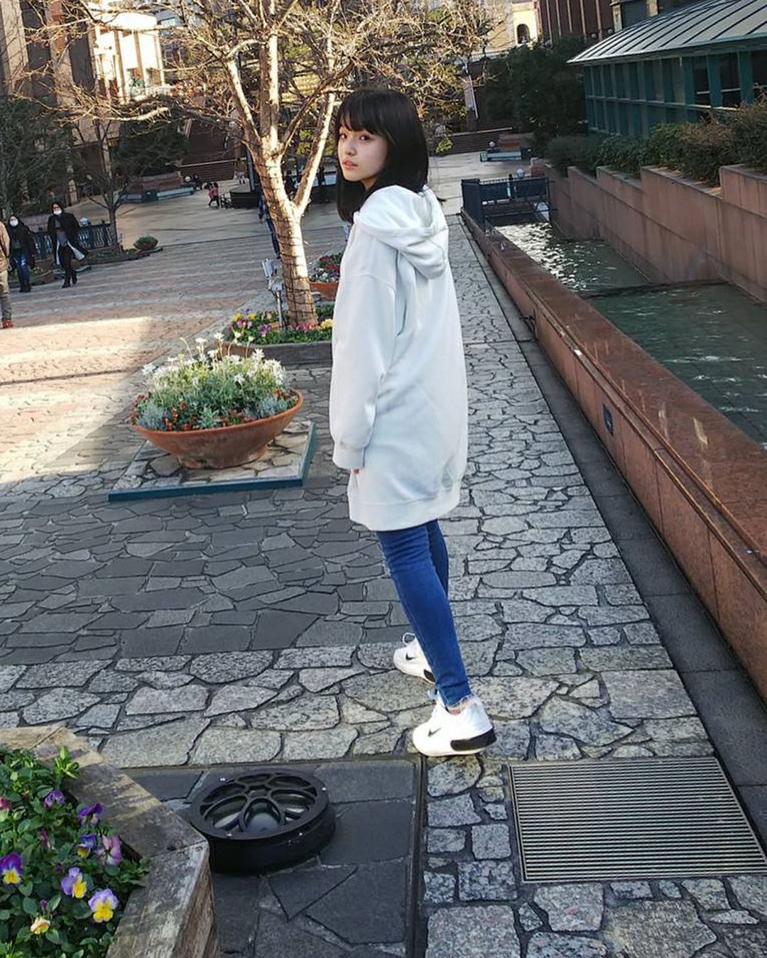 丰岛花的图片