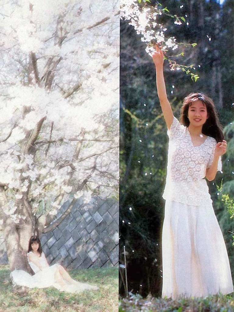 七濑夏美的图片