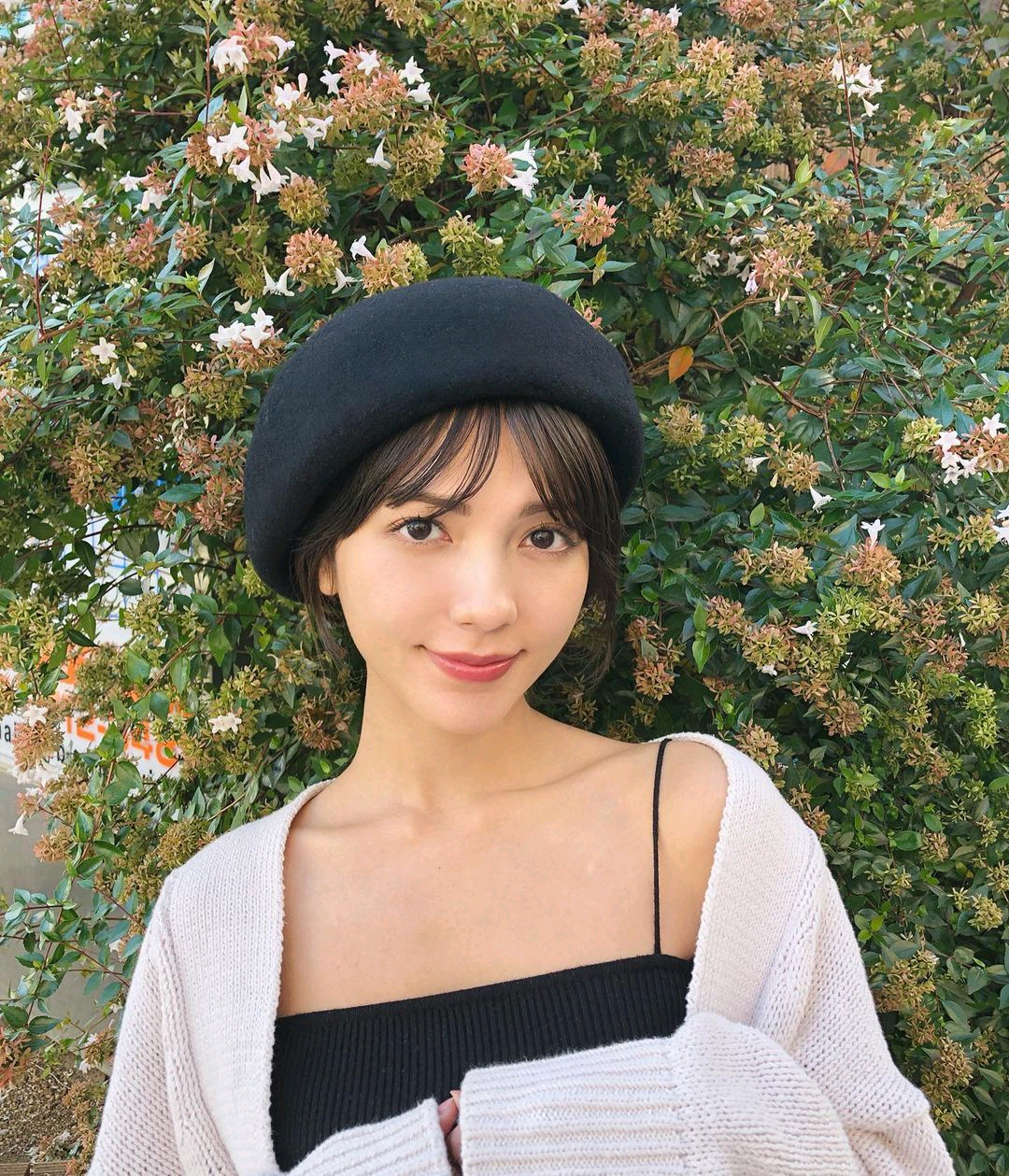 南里美希的图片