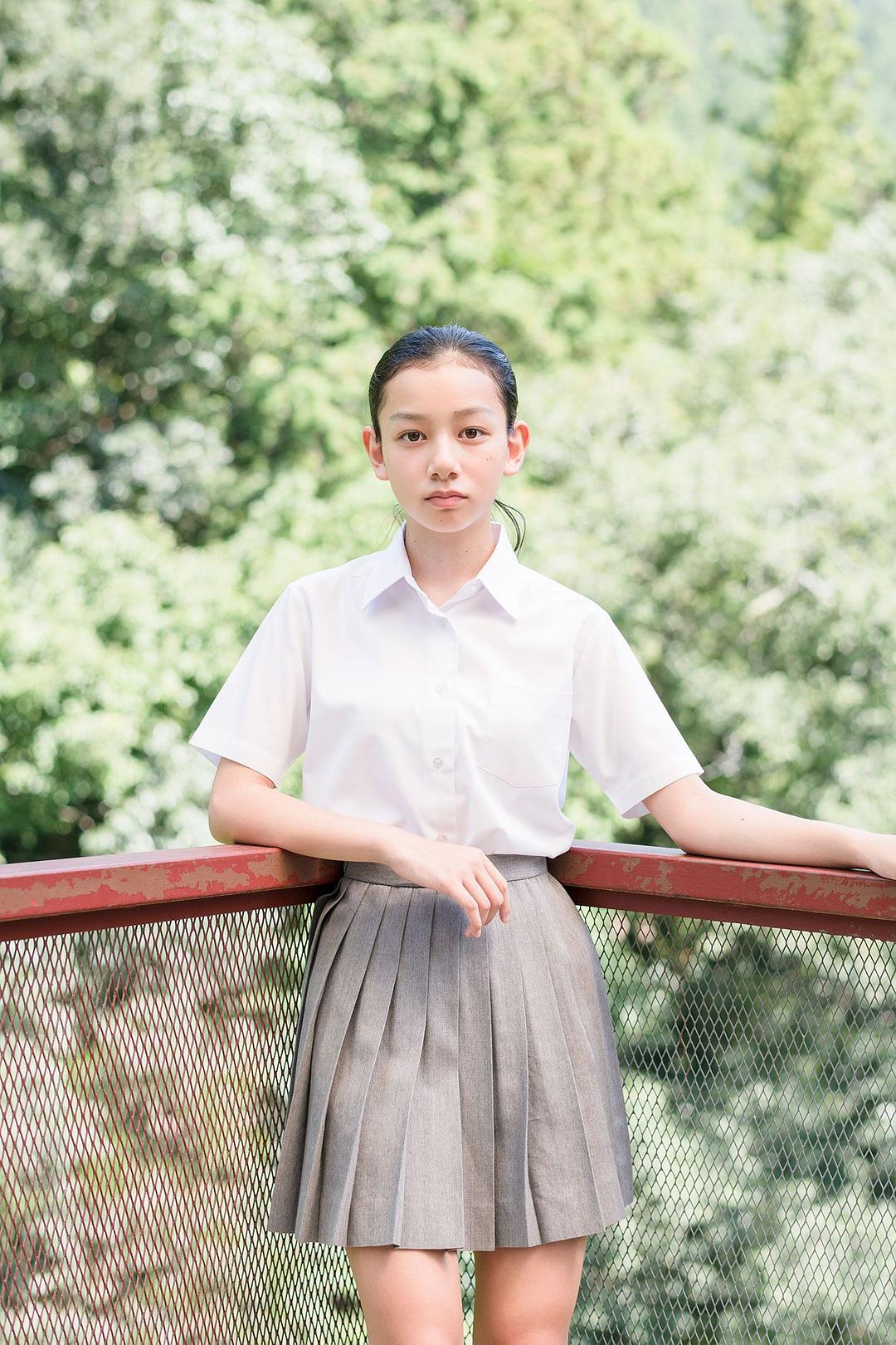 长泽树的图片