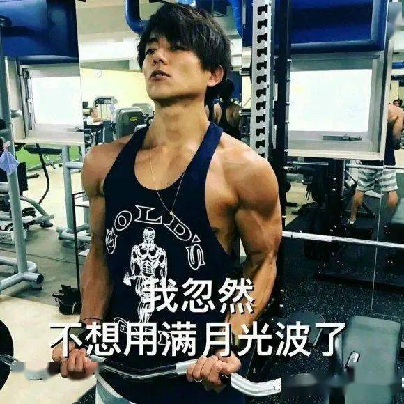 杉浦太阳的图片