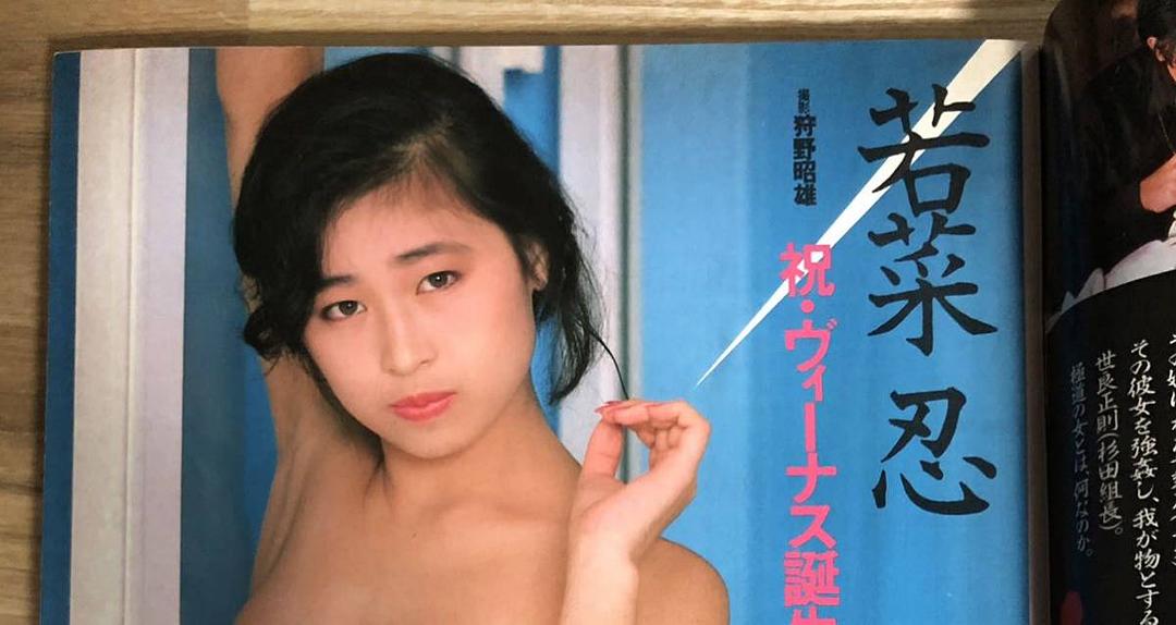 若菜忍的图片