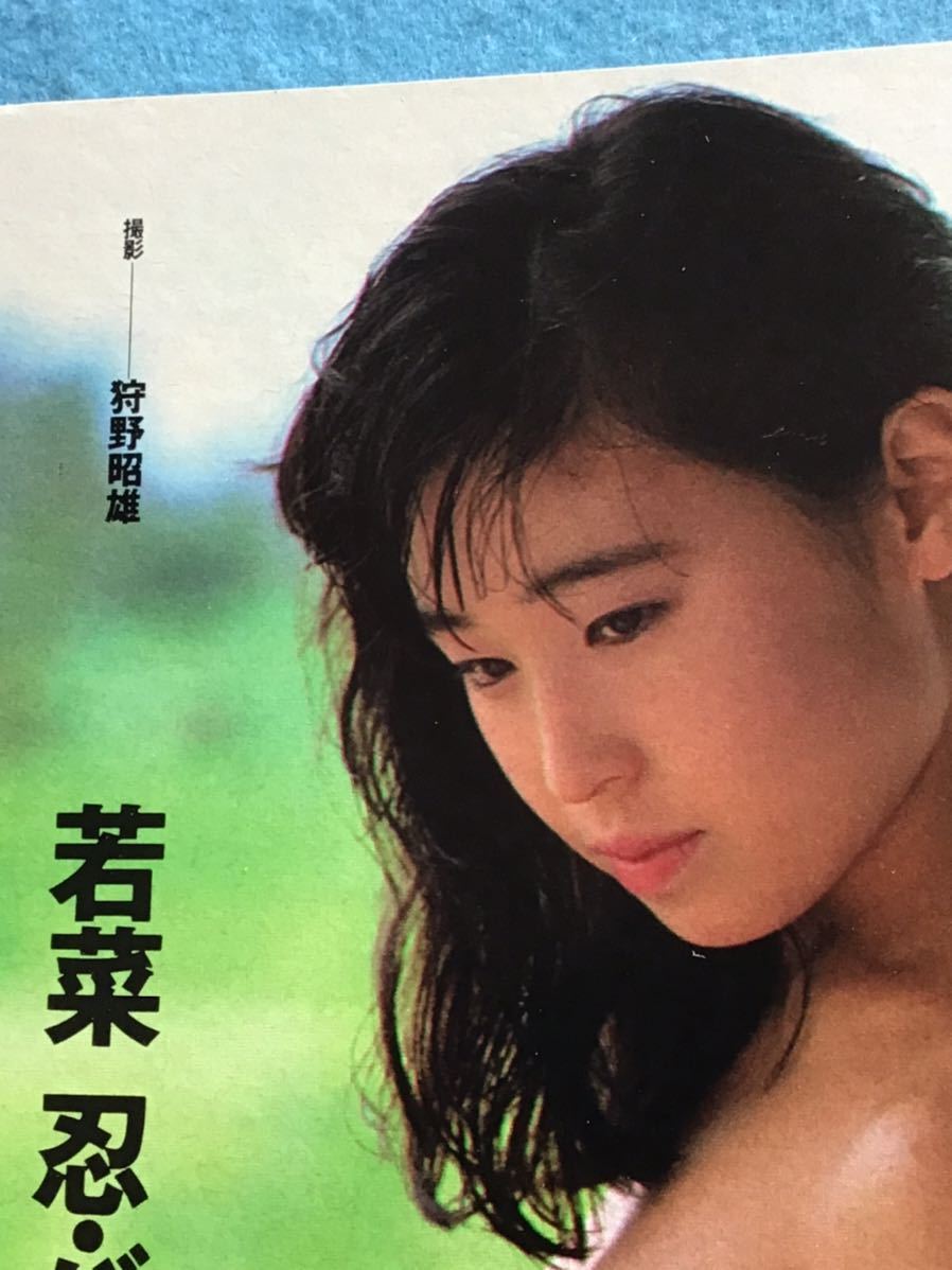 若菜忍的图片