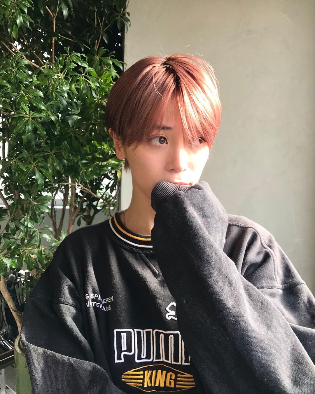 坂田梨香子的图片