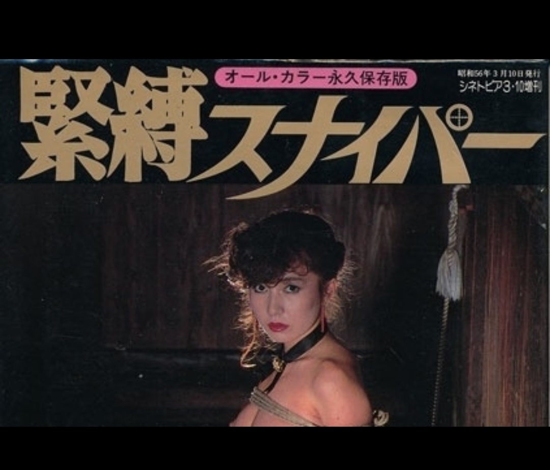 三崎奈美的图片
