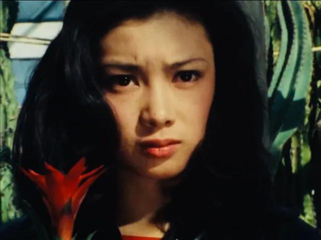 冈田京子的图片