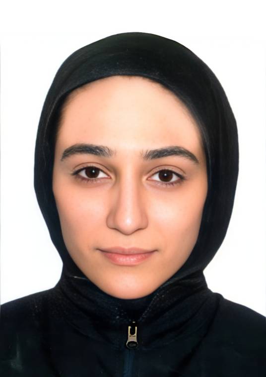 梅莉卡·米尔侯赛尼·瓦基利