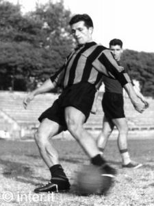 埃斯特万·尼尔斯