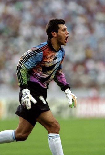 塞尔希奥·戈伊科切亚