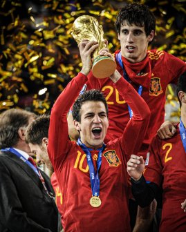 2010年世界杯冠军