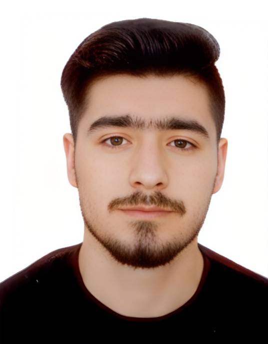 迈赫兰·巴霍尔达里