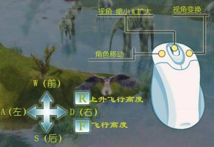 基本操作