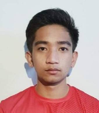 霍内斯·利亚夫雷斯·因索