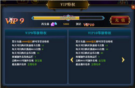 VIP特权