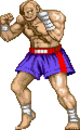 サガット（SAGAT）