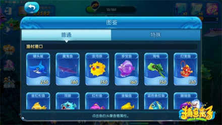 鱼种