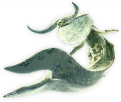 村最终怪物大海龙