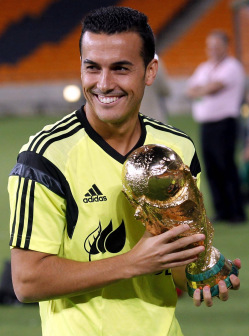 2010年世界杯冠军