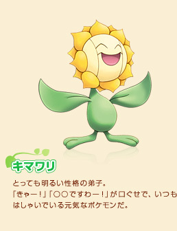 向日花怪