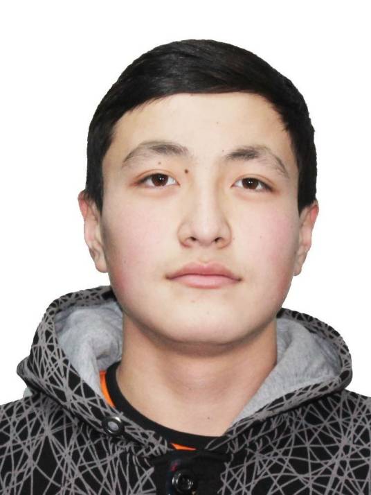 叶尔利克·谢尔泰