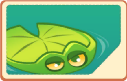 荷叶（Lily Pad）